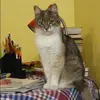 Отзыв от Оля Лапшина